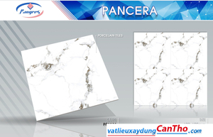 Pancera PP 6616